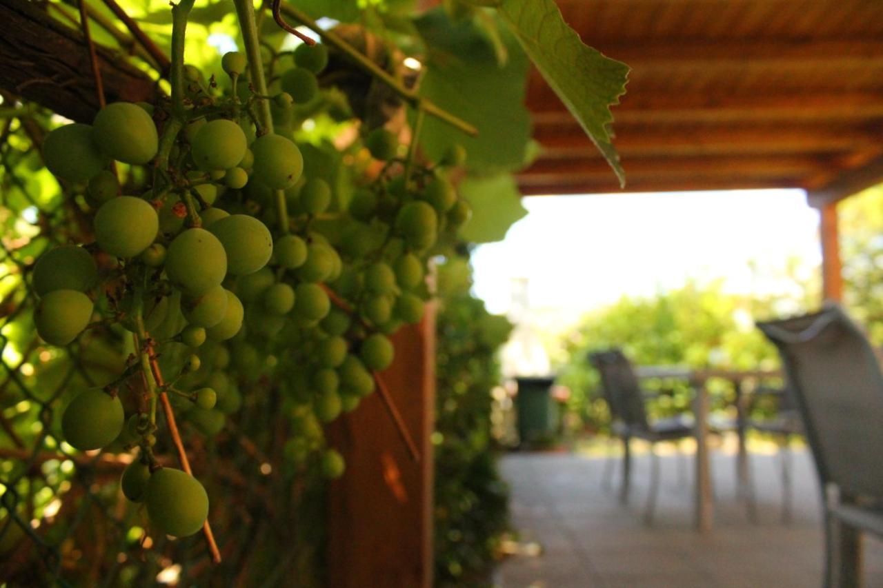 Il Casolare Bed & Breakfast Penna Exterior photo
