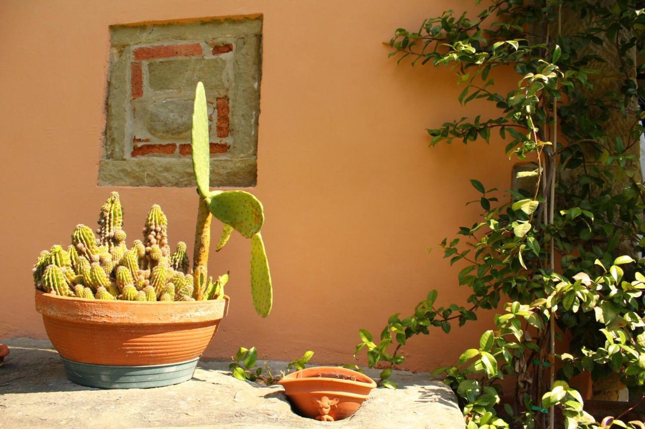 Il Casolare Bed & Breakfast Penna Exterior photo